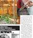 Magazine